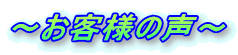 `ql̐`